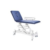Buy Everyway4all 2-Section Physical Therapeutic Therapy Treatment Table