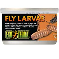 Buy Exo Terra Canned Black Soldier Fly Larvae Specialty Reptile Food