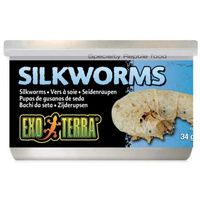 Buy Exo Terra Canned Silkworms Specialty Reptile Food