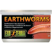 Buy Exo Terra Canned Earthworms Specialty Reptile Food