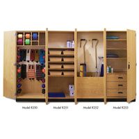 Buy Hausmann Thera-Wall Therapy Storage System