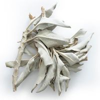 Buy Frontier Whole White Sage Incense