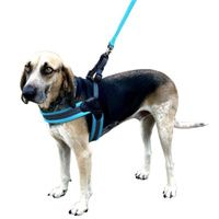 Buy Sporn Easy Fit Dog Harness