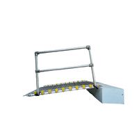 Buy Roll-A-Ramp Removable Aluminum Straight End Handrails