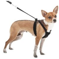 Buy Sporn Non Pull Mesh Harness for Dogs