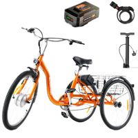 Buy Superhandy Adult Tricycle Electric Bike