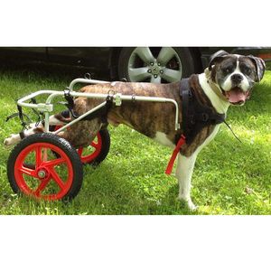 Best Friend Mobility Rear Support Dog Wheelchair
