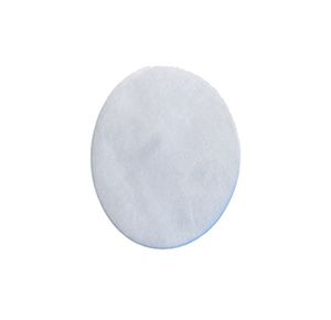 AG Industries Disposable Ultagen CPAP Filter for REMstar