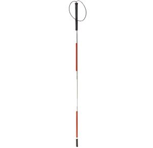 Complete Medical Blind Man Cane