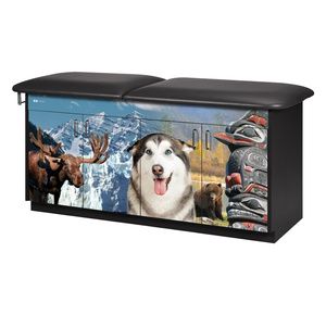 Clinton Adventure Series Pediatric Treatment Table