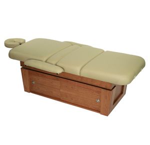 Touch America Violin PowerTilt  Massage Table