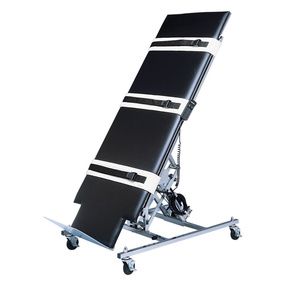 Bailey Professional Electric Tilt Table