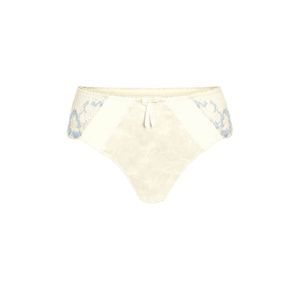 Amoena Arya Brief