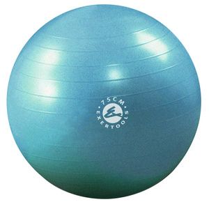 Exertools Burst Resistance Gymball