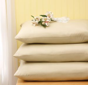 https://i.webareacontrol.com/fullimage/300-X-290/1/l/15920163037medline-nylex-ultra-reusable-pillows-l-T.png