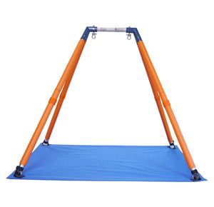 Haleys Joy On The Go I Swing System