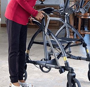 UPWalker Cane/Umbrella Holder