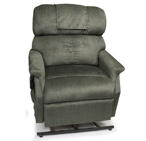 bariatric power lift recliner 33 inch