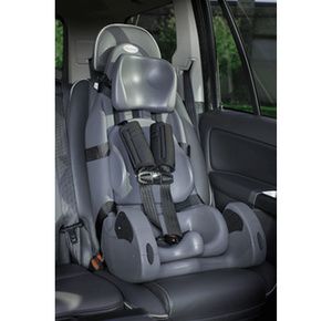 Special Tomato Large MPS Car Seat