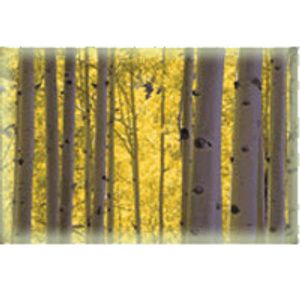 Stress Stop Just Relax CD