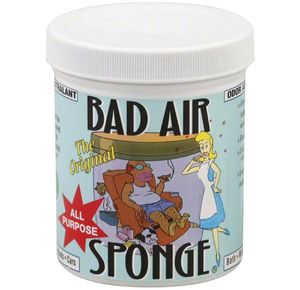 Bad Air Sponge