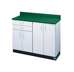 Hausmann ProLine Professional Wall Mounted Cabinet