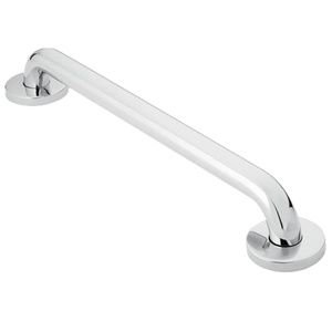 Moen Polished Stainless Steel Finish Grab Bar