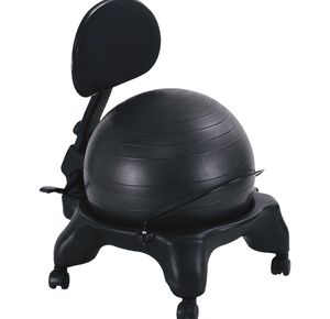 https://i.webareacontrol.com/fullimage/300-X-290/2/l/272016351aeromat-ajustable-fit-ball-chair-l-T.png