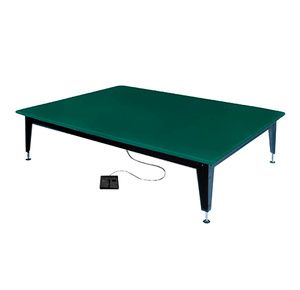 Hausmann Electric Bariatric Mat Platform