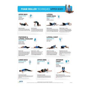 Vive Yoga Poster - Poses for Beginners and Experts - India