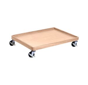 TherAdapt Mobile Base