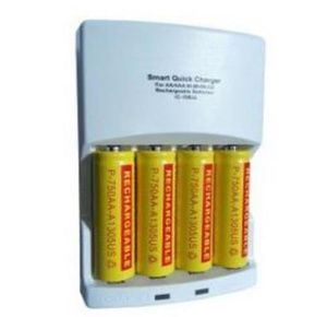 BioMedical NiMH Rechargable AA Battery