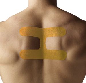 OPTP SpiderTech Postural Butterfly