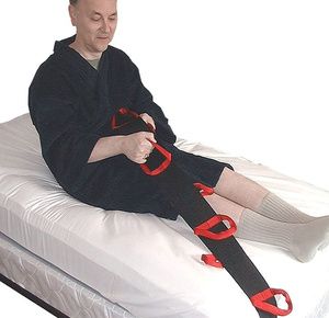 MTS SafetySure Bed Pull-Up