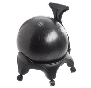 Aeromat Stability Ball Chair