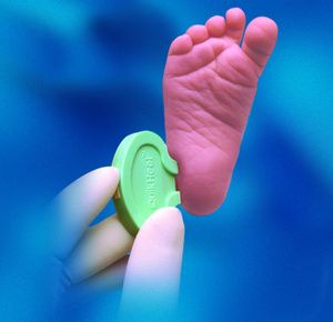 Becton Dickinson BD Microtainer Quikheel Pediatric Lancet