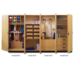 Hausmann Thera-Wall Therapy Storage System
