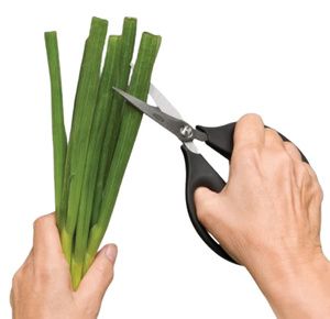 OXO Good Grips Kitchen And Herb Scissors