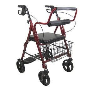 Rose Healthcare Transport Rollator