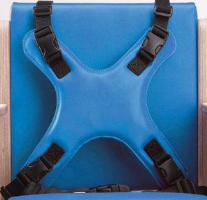 Smirthwaite 4-Point Harness