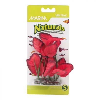 Buy Marina Silk Foreground Aquarium Plant - Green