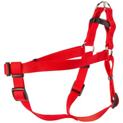 Buy Coastal Pet Comfort Wrap Adjustable Harness - Red