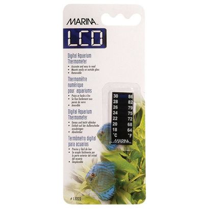 Buy Marina Meridian Thermometer