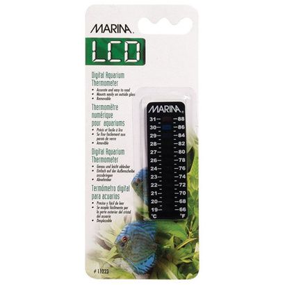Buy Marina Dorado Thermometer