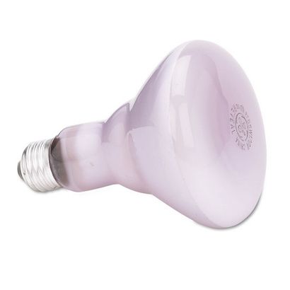 Buy GE Incandescent Reveal BR30 Light Bulb