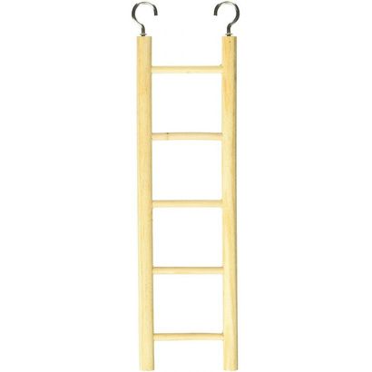 Buy Penn Plax Natural Wooden Ladder for Birds