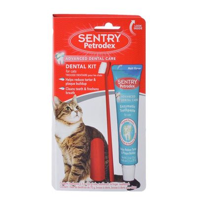 Buy Petrodex Dental Kit for Cats with Enzymatic Toothpaste