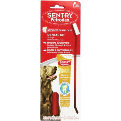 Buy Petrodex Dental Kit for Dogs - Peanut Butter Flavor
