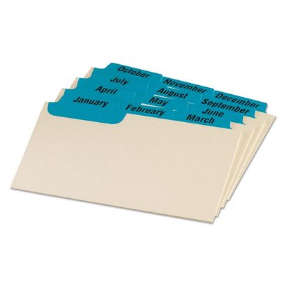 Buy Oxford Manila Index Card Guides with Laminated Tabs