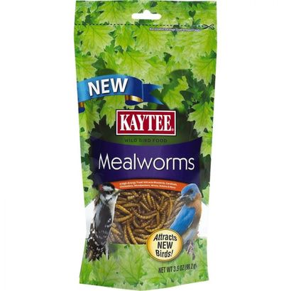 Buy Kaytee Mealworms Bird Food